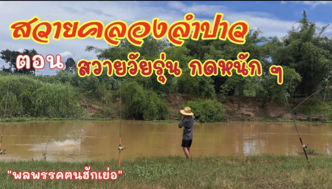 ตกปลาสวายคลองลำปาว