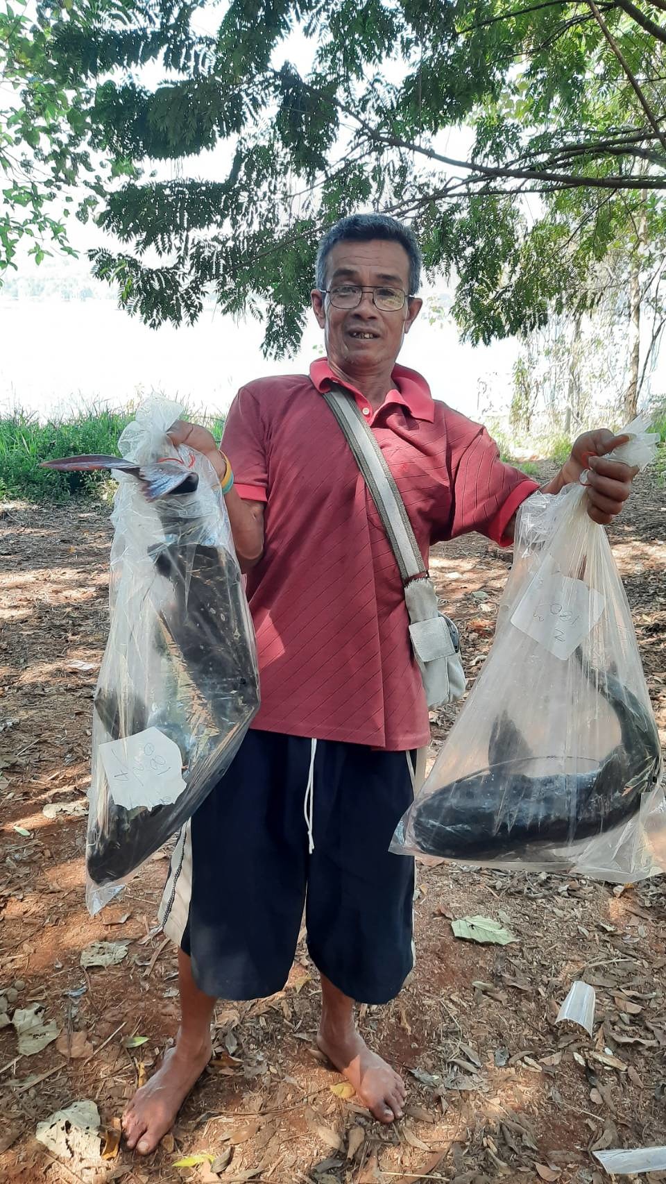 สำรวจหมายล่าสุด.. ช่วงนี้ปลาเริ่มเข้าใต้แพ มีทั้งปลาเล็กและปลาใหญ่ 