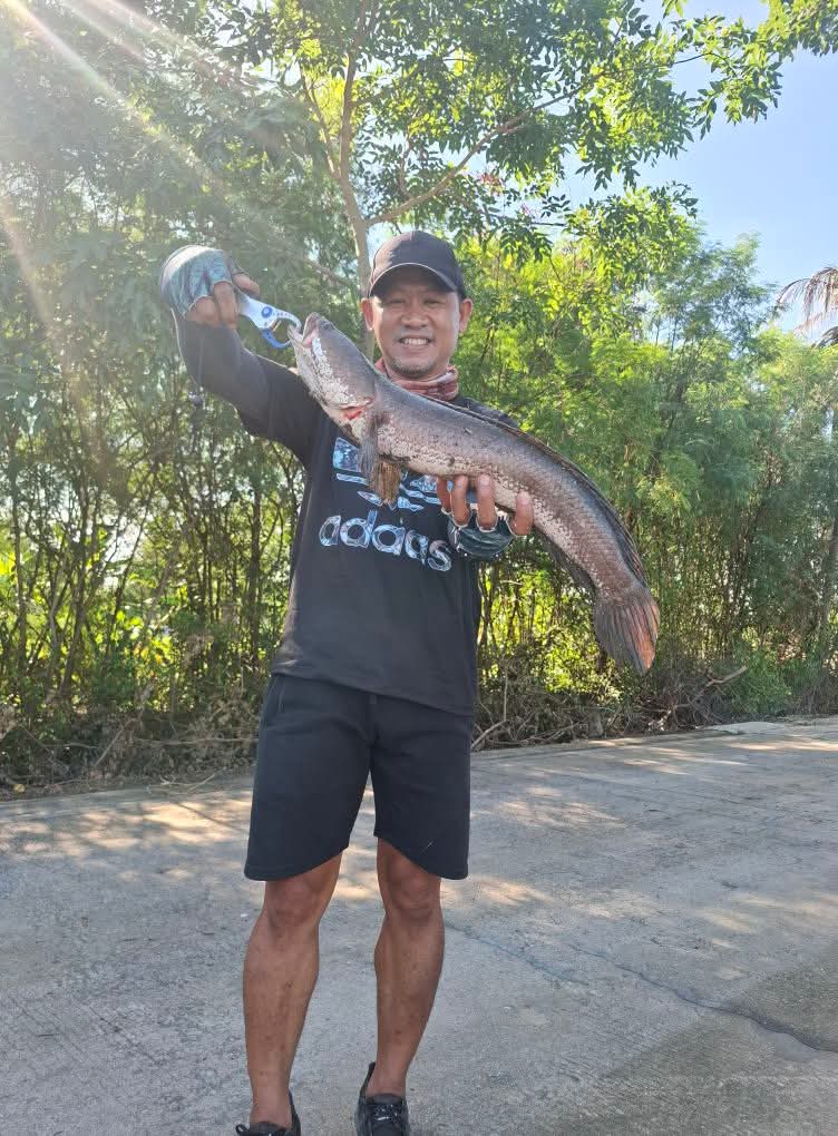 ว่ากันว่า ช่วงนี้ ขาดตลาด