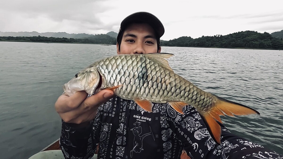 ลุยชะโดครอกเขาแหลม...บ้านเรด้าห์