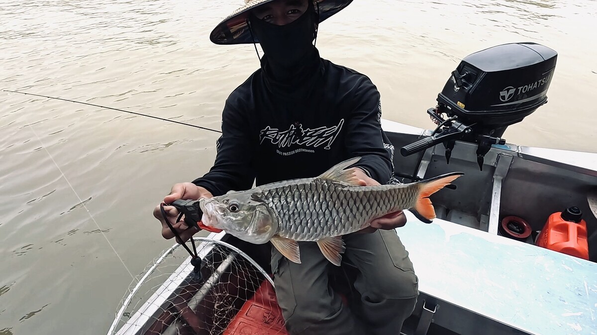 แม่น้ำน้อยวันที่ปลาหายาก...เกือบหลับแต่กลับมาได้