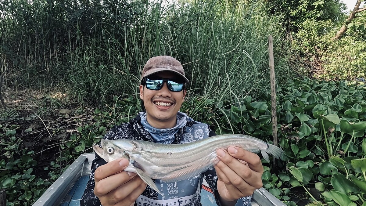 แม่น้ำน้อยวันที่ปลาหายาก...เกือบหลับแต่กลับมาได้