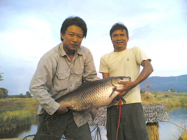 ปลาธรรมชาติที่วังน้ำเขียว