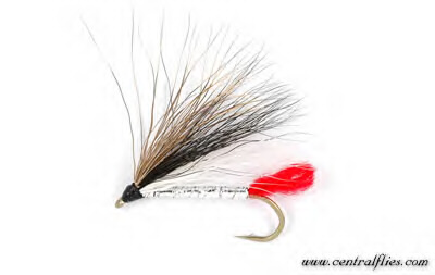 Fly tying-Black nose dace