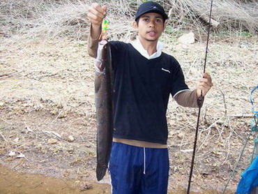 ไอ้ร่อนพบปะชะโดที่หาดปลานา(เขื่อนศรี)