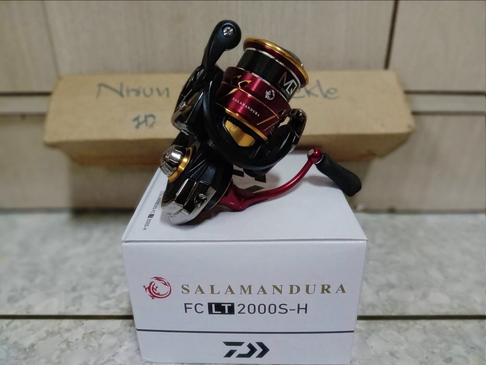 Daiwa Salamandura LT 2000S-H & Prorex V LT-2500- XH 