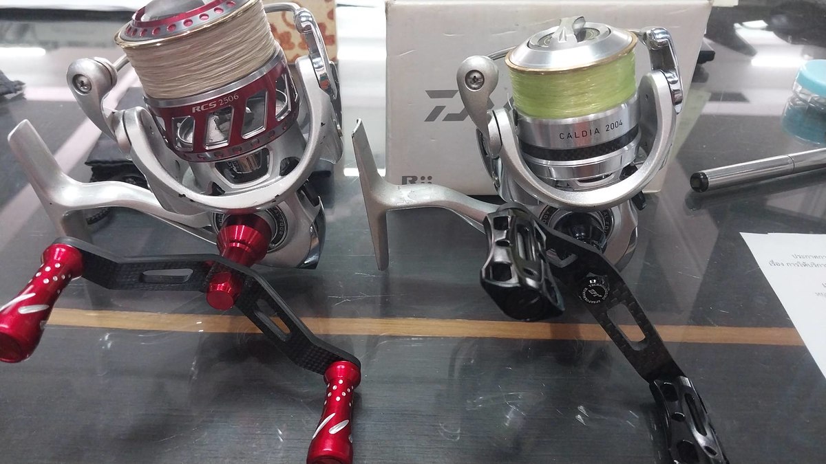 Daiwa Caldia 2004 + 2506RCS