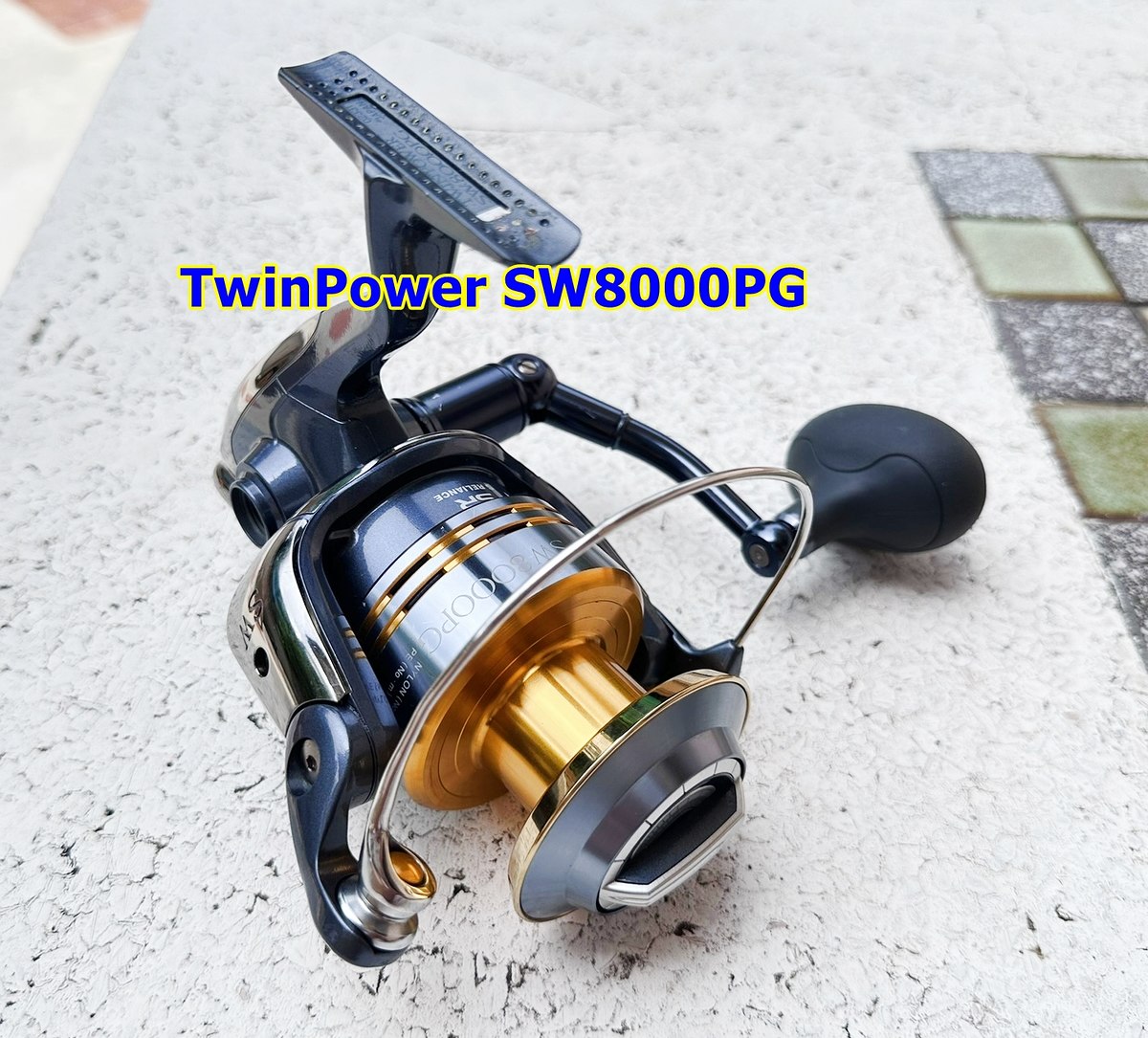 Shimano TwinPower SW8000PG