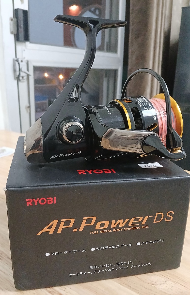 Ryobi AP Power DS 10000