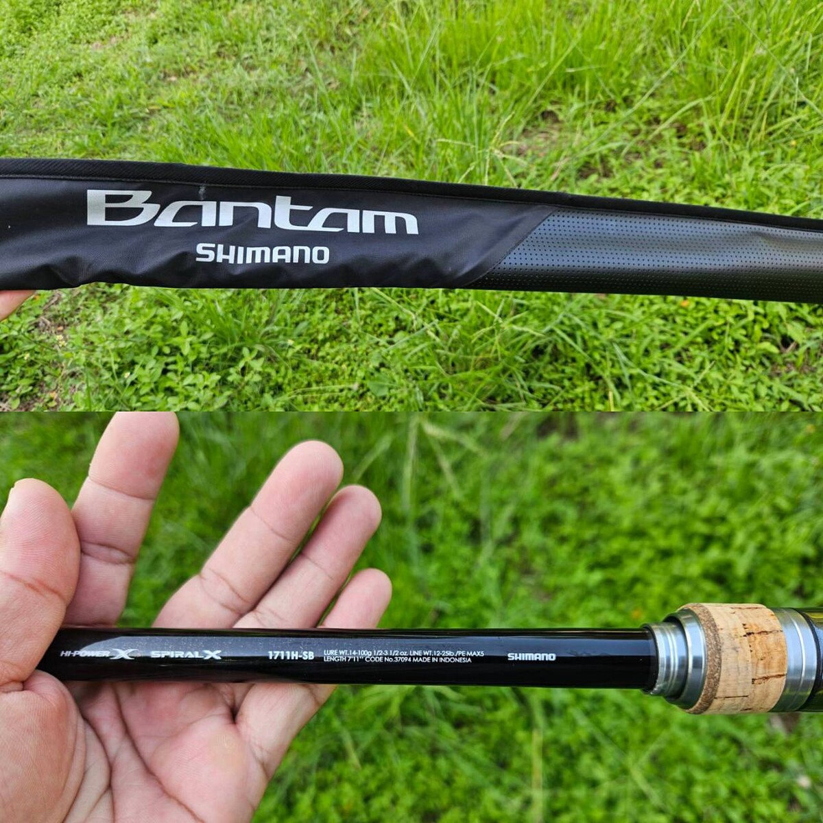 Shimano Bantam 