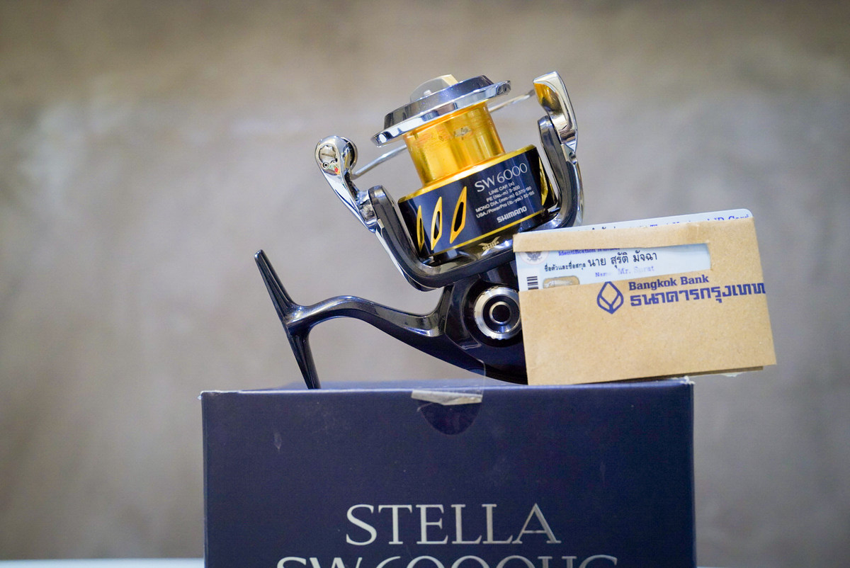 13 Shimano STELLA SW6000HG  