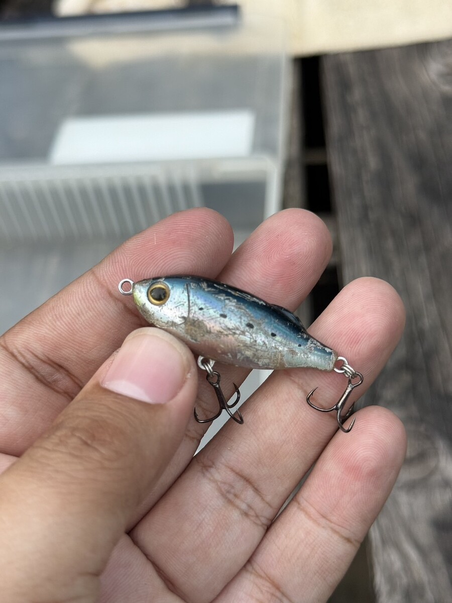 2.tackle house shore pull shad  (เบ็ด Decoyใหม่ๆ)  = 220 บาท 
