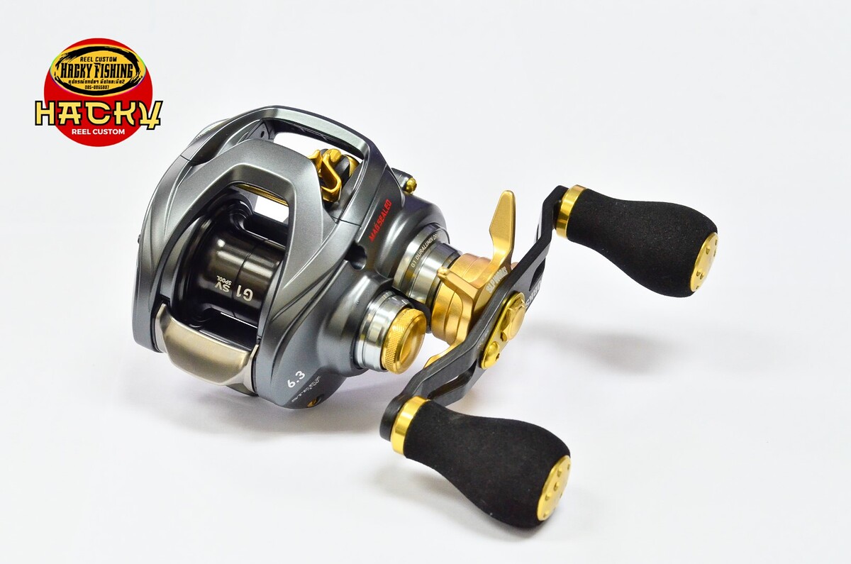 Daiwa Steez A TW 1016H