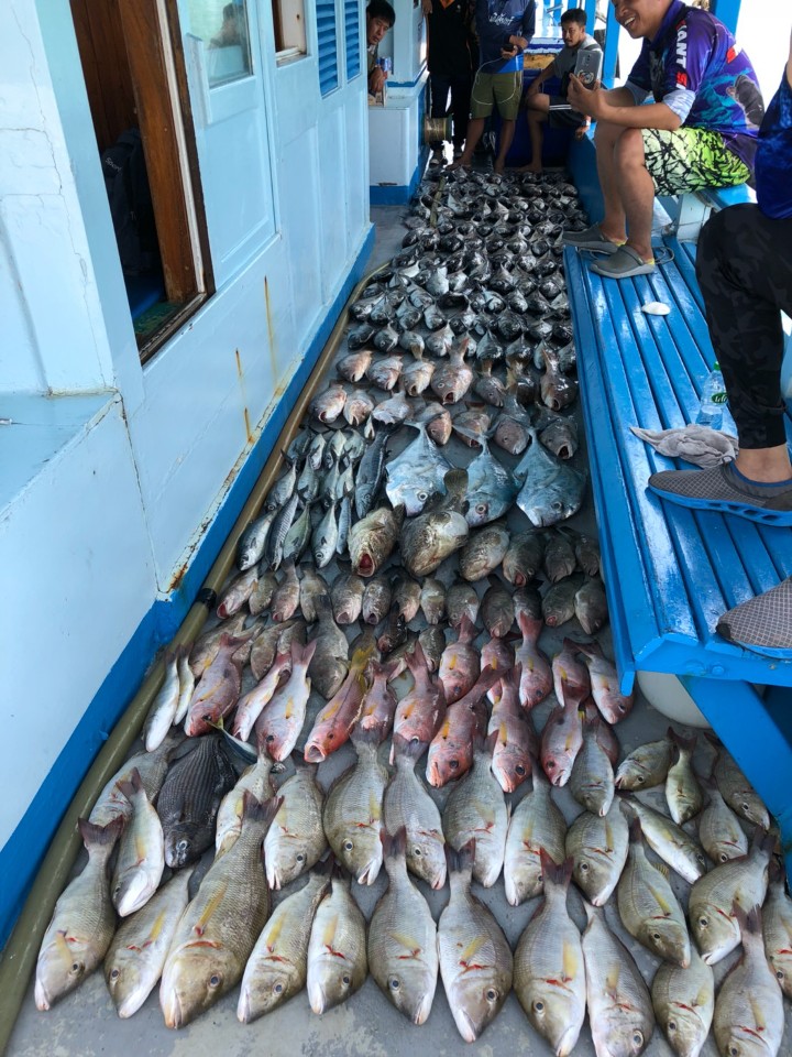 ทริปแนวท่อซากเรือจม