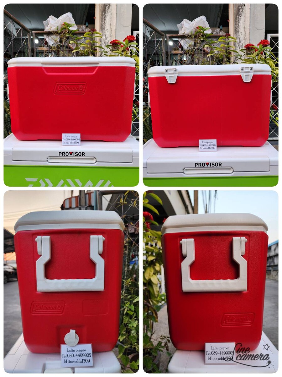 Coleman 35 L.