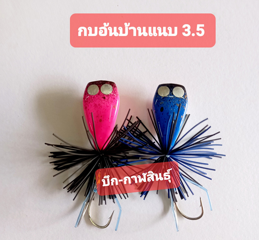 [center][q][b]กบอ้น บ้านแนบ 3.5 ซม.[/b]
----------------------------------------------
@ กบกระโดด 
