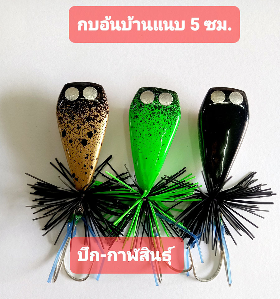 [center][q][b]กบอ้น บ้านแนบ 5 ซม.[/b]
------------------------------------------
@ กบกระโดด อ้นบ้า