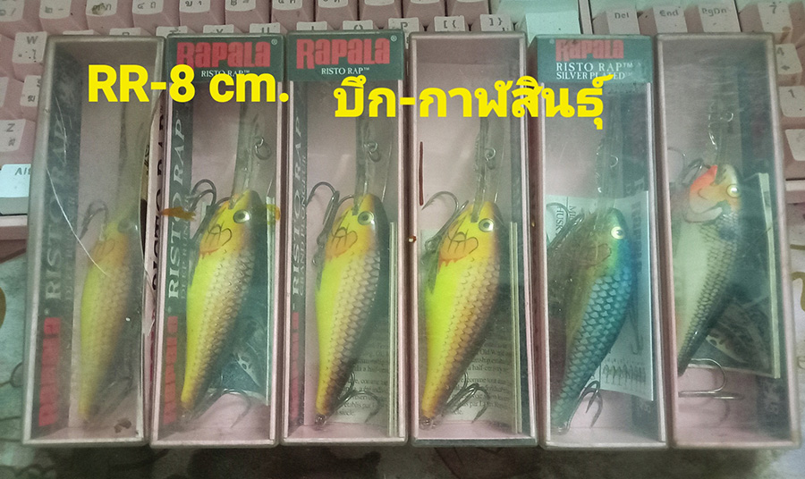 [center][q][b]ราพาลา ริสโต 8 ซม.[/b]
---------------------
@ รุ่นเก่า หายาก ฉลาแขวน ไม่มี
@ ของให