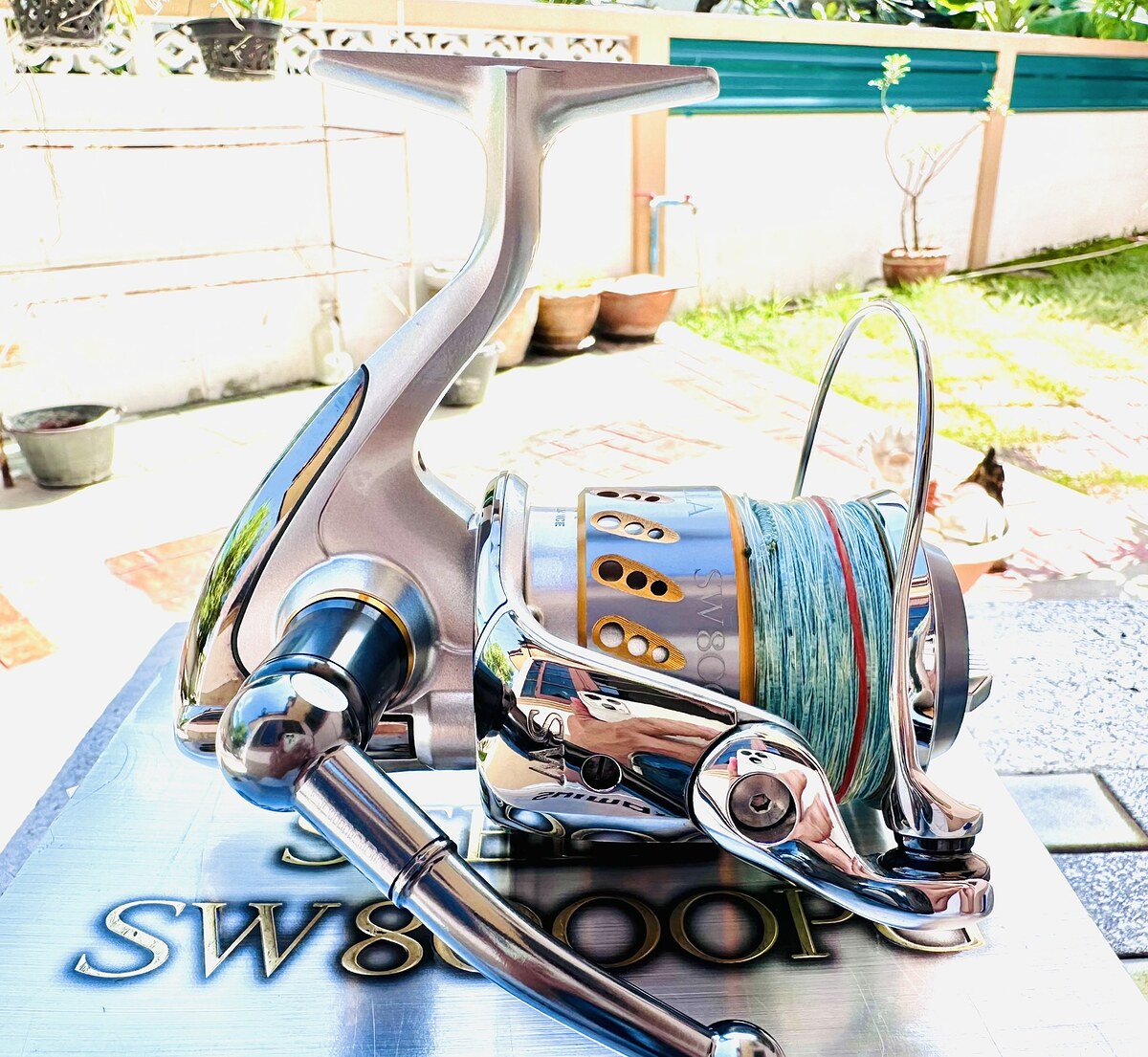 



 :cheer: :cheer: :cheer: :cheer: