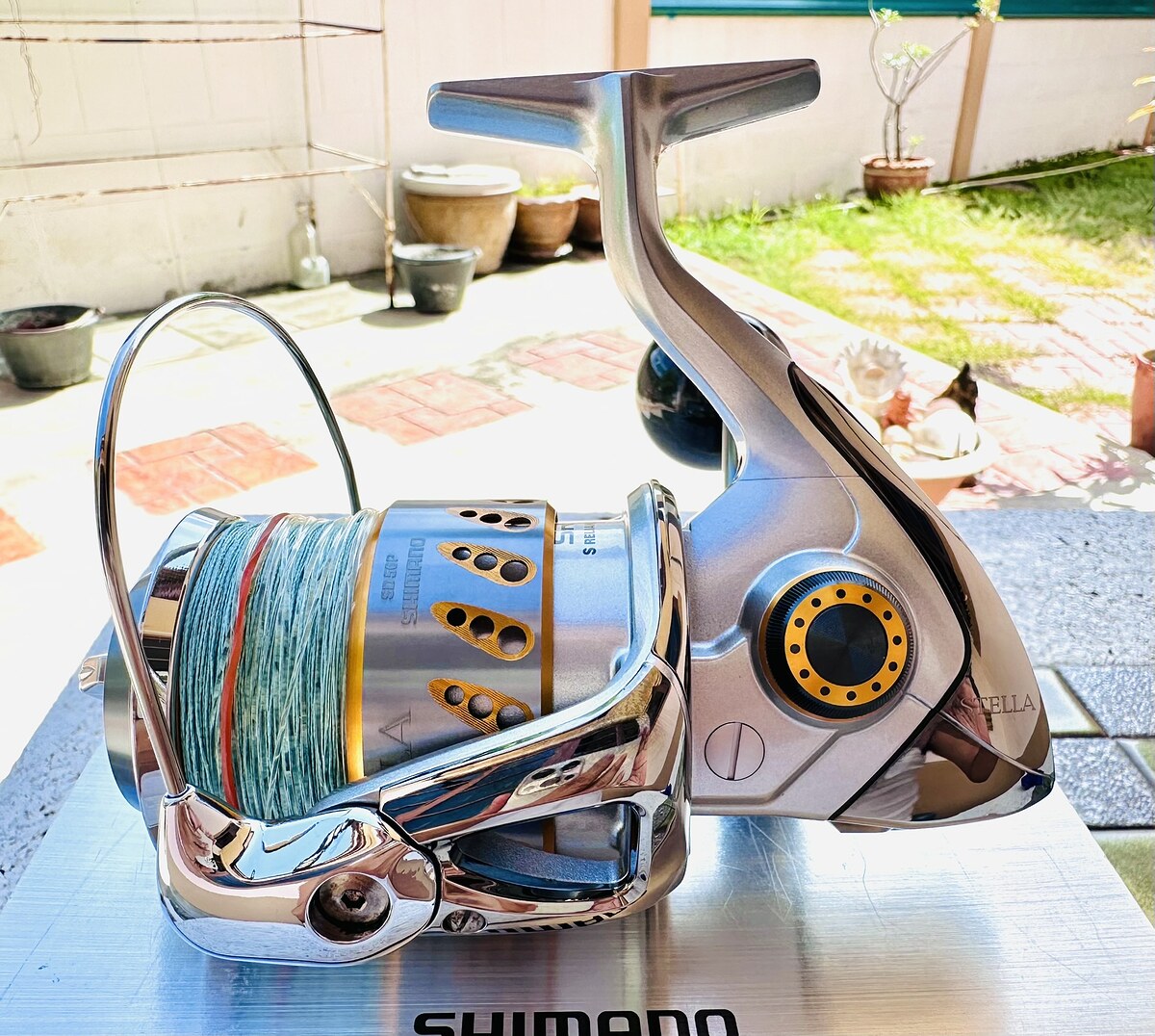 



 :cheer: :cheer: :cheer: