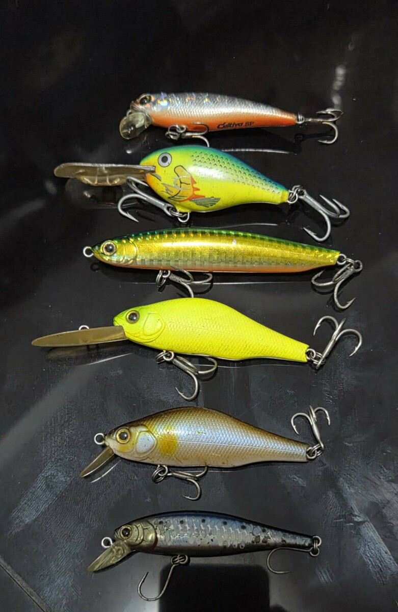 เหยื่อ2กอง