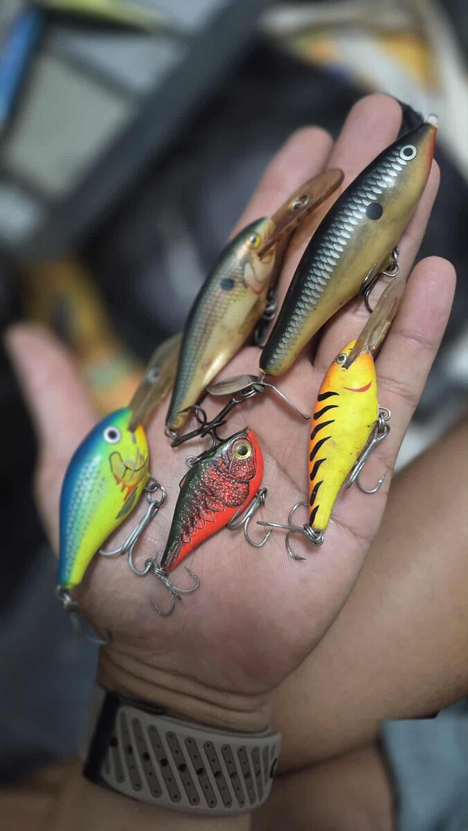 เหยื่อ  rapala. 5  ตัว. 


490 รวมส่ง  :cheer: