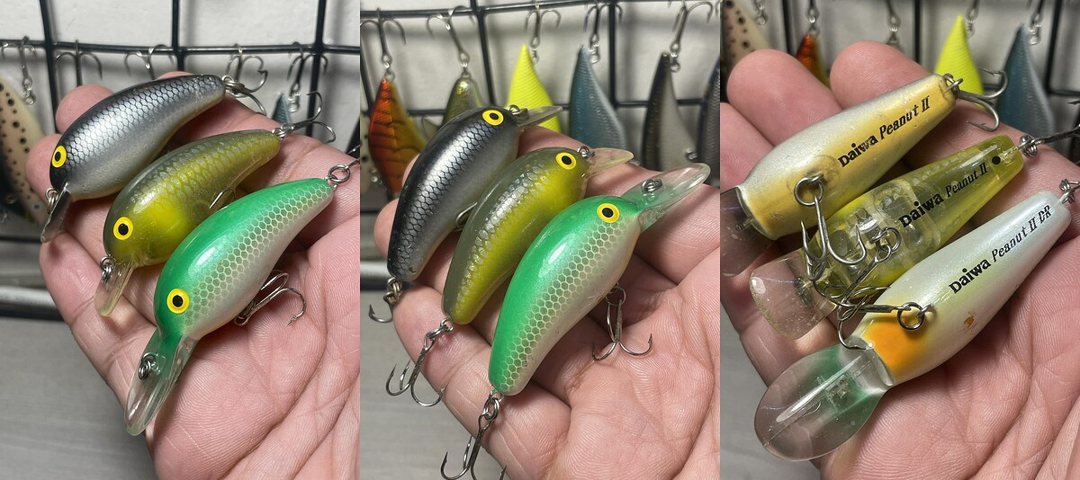 Daiwa Peanut
(3ตัว) 570.- (EMS50)
