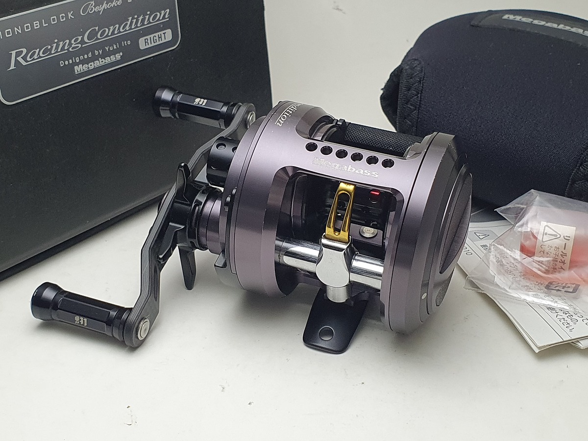 * * * * MEGABASS MONOBLOCK RACING CONDITION 2010 * * * *