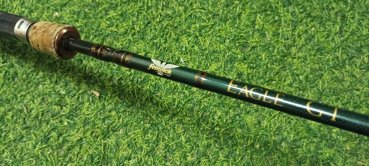 Fenwick EAGLE GT 6'6