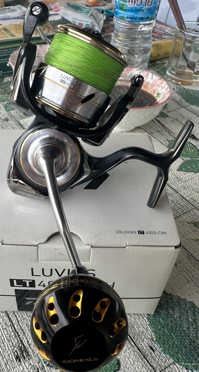 Daiwa Luvias LT4000 CXH