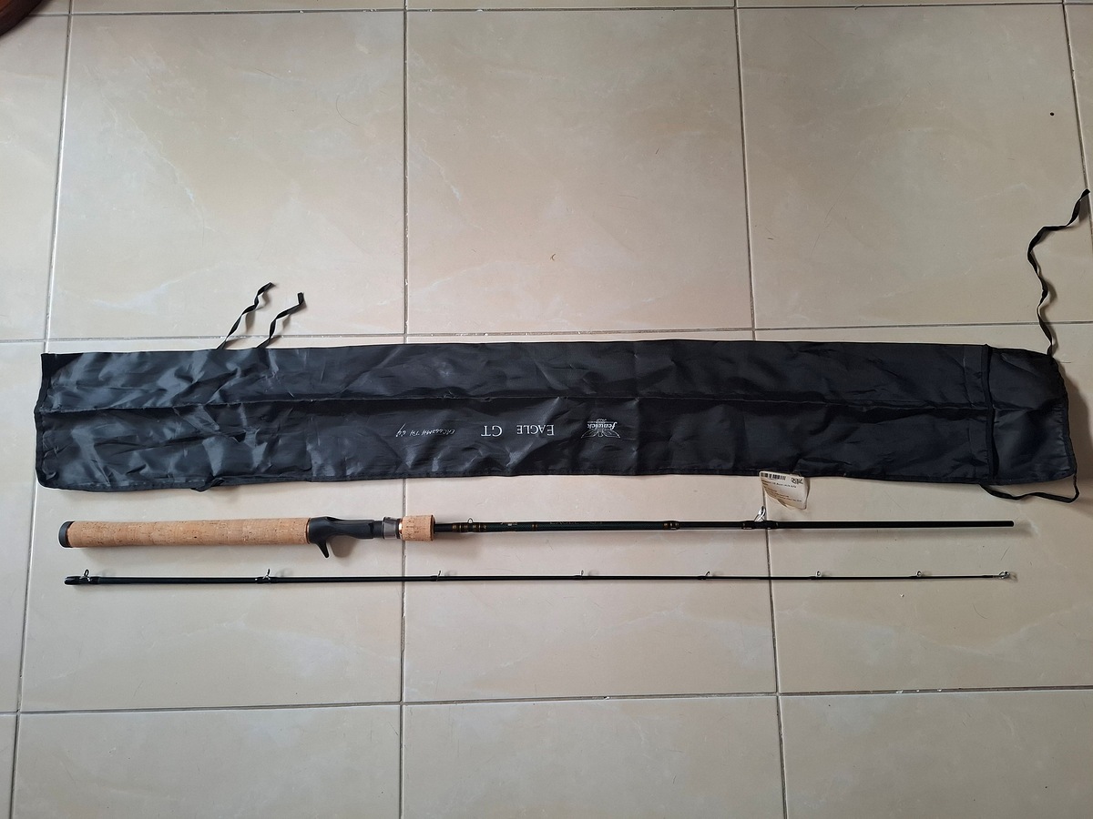 Finwick Eagle GT 6'6