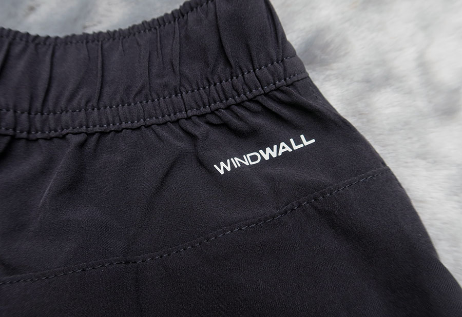 The north face windwall pants