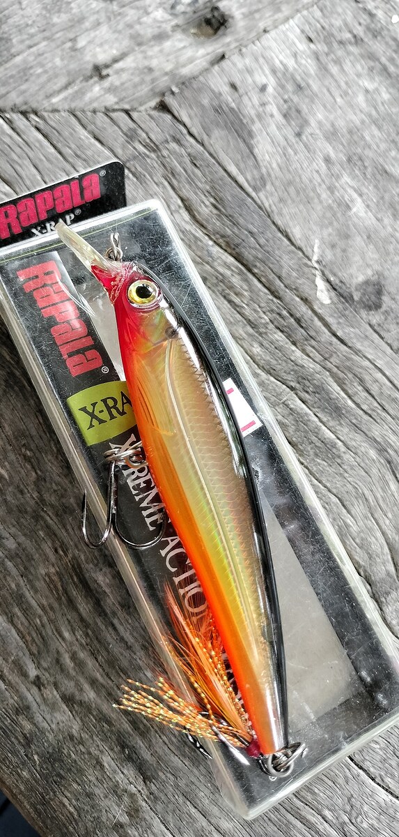 XR 10 rapala  สวย สวย