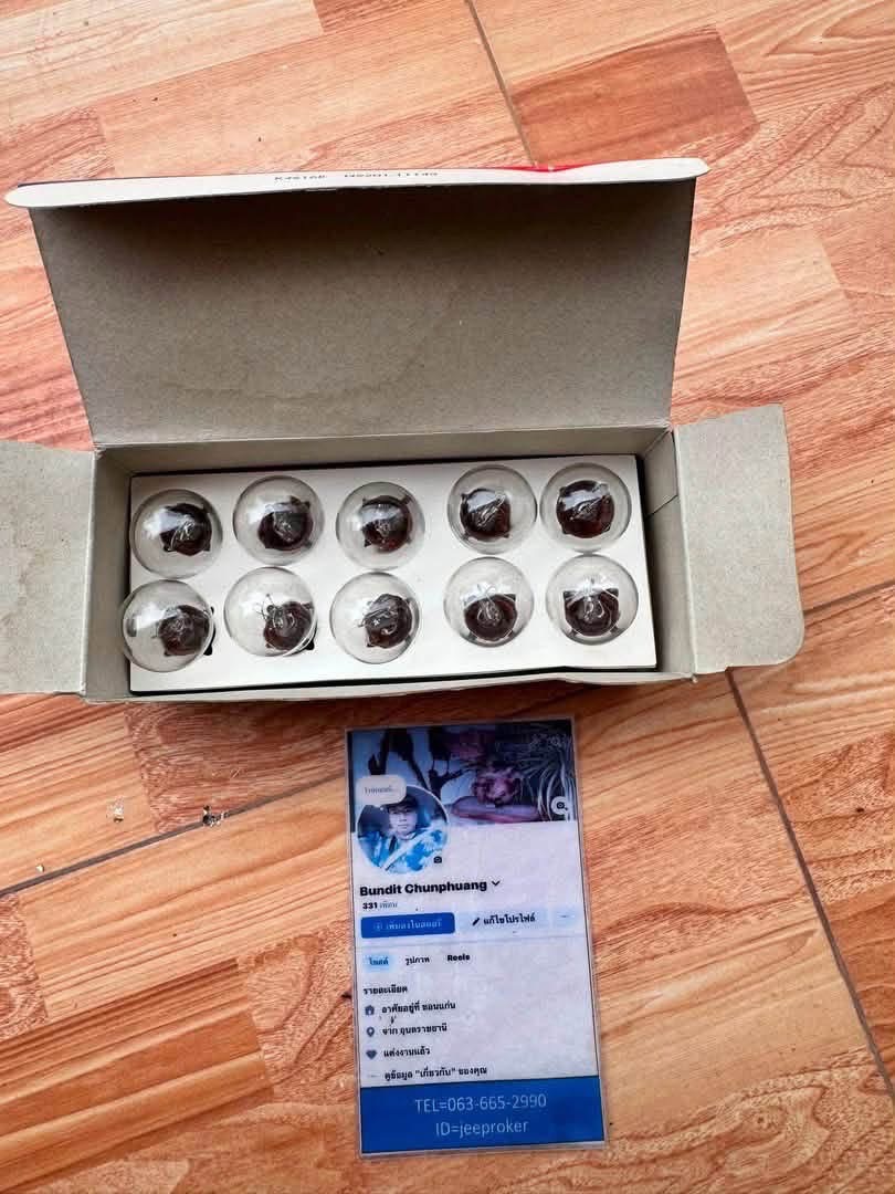 หลอดไฟ KOITO 24V 25W กล่อง 10 หลอด  รุ่น 4616 ทรง S25 ขั้ว BA15s 