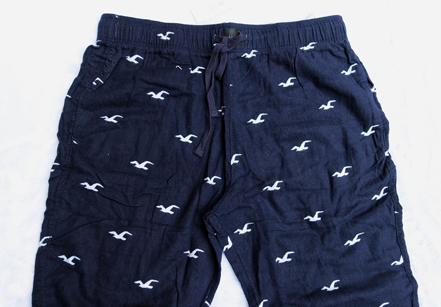 HOLLISTER