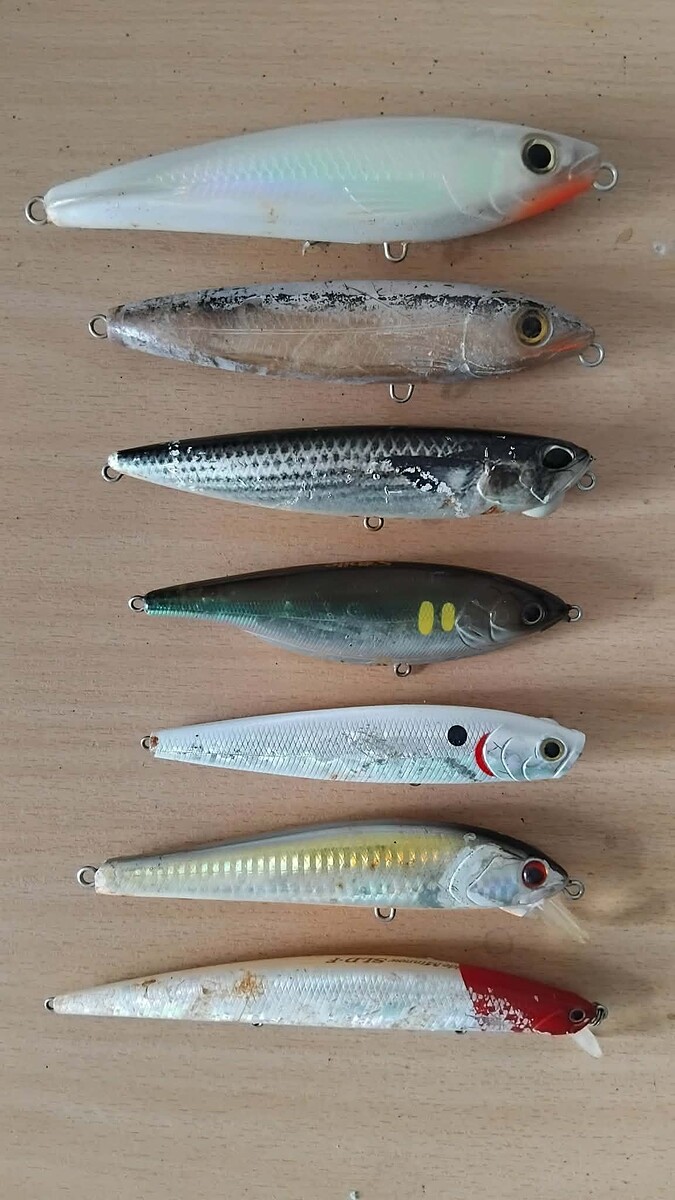 ขออนุญาติน้าเว็บ และสมาชิกครับ

ปล่อยเหยื่อชายฝั่ง ข้างเกาะ
Rapala X-Rap Supwalk 16 สภาพมีรอยโดนต