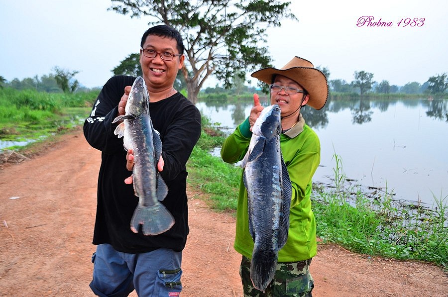 พี่หนู  กำปลา  เหมือนมั่นคงและคุ้นเคยดี   :grin: :grin: :laughing: :laughing: :laughing: :laughing: