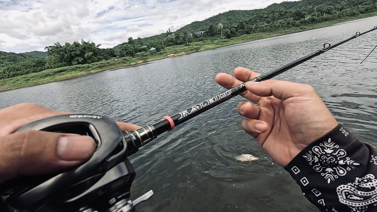 พอขึ้นน้ำมันก็เผยให้เห็นเกล็ดสีเงินเงาสะท้อนแสงแดด
นั่นไงว่าแล้ว ปลากระสูบจริงๆด้วย แต่ขนาดตัวใหญ่ไ