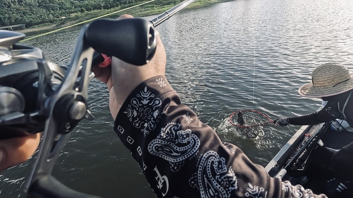ใช้เวลาไม่นานก็ลากมันเข้ามาข้างเรือ 
ให้พี่ต้อมใช้สวิงตักขึ้นมา เรียบร้อยครับ มาอีกแต้ม