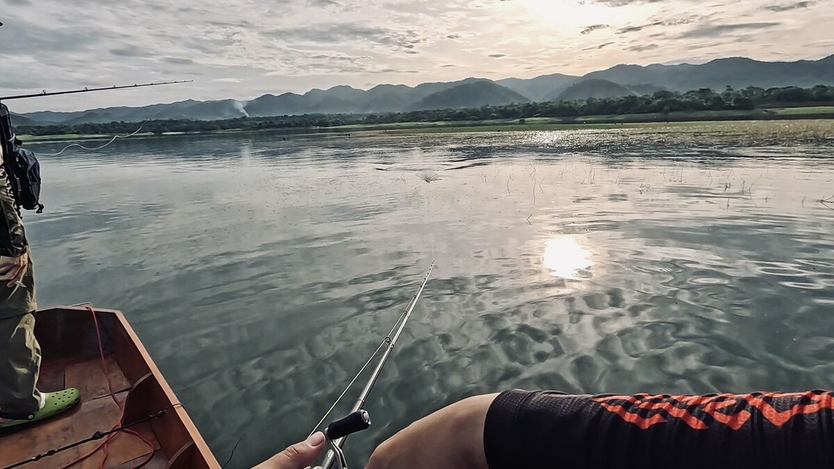 เมื่อเรือลอยลำเข้าระยะตีได้สวยๆ พ่อผมก็หวดกบยาง Ribbit ที่ปลายสาย
ฝ่าวงลูกครอกที่ขึ้นลอยชายได้แม่นย