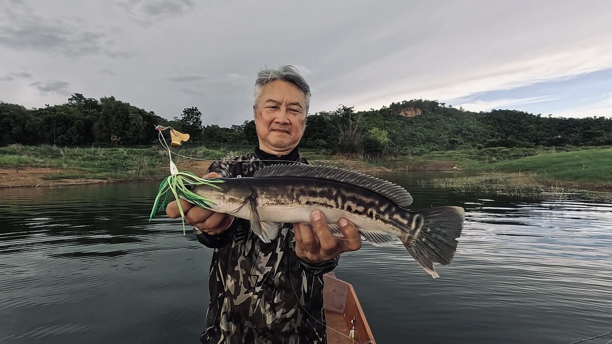 ไม่มีการพลาดเป้า คุณพ่อปิดเกมส์ได้อย่างรวดเร็ว
ส่งสกอร์ขึ้นนำอีกครั้งเป็น 7 ต่อ 6 มาพลิกเอาในนาทีสุ