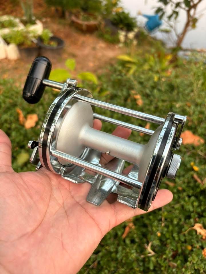 Daiwa sealine 250