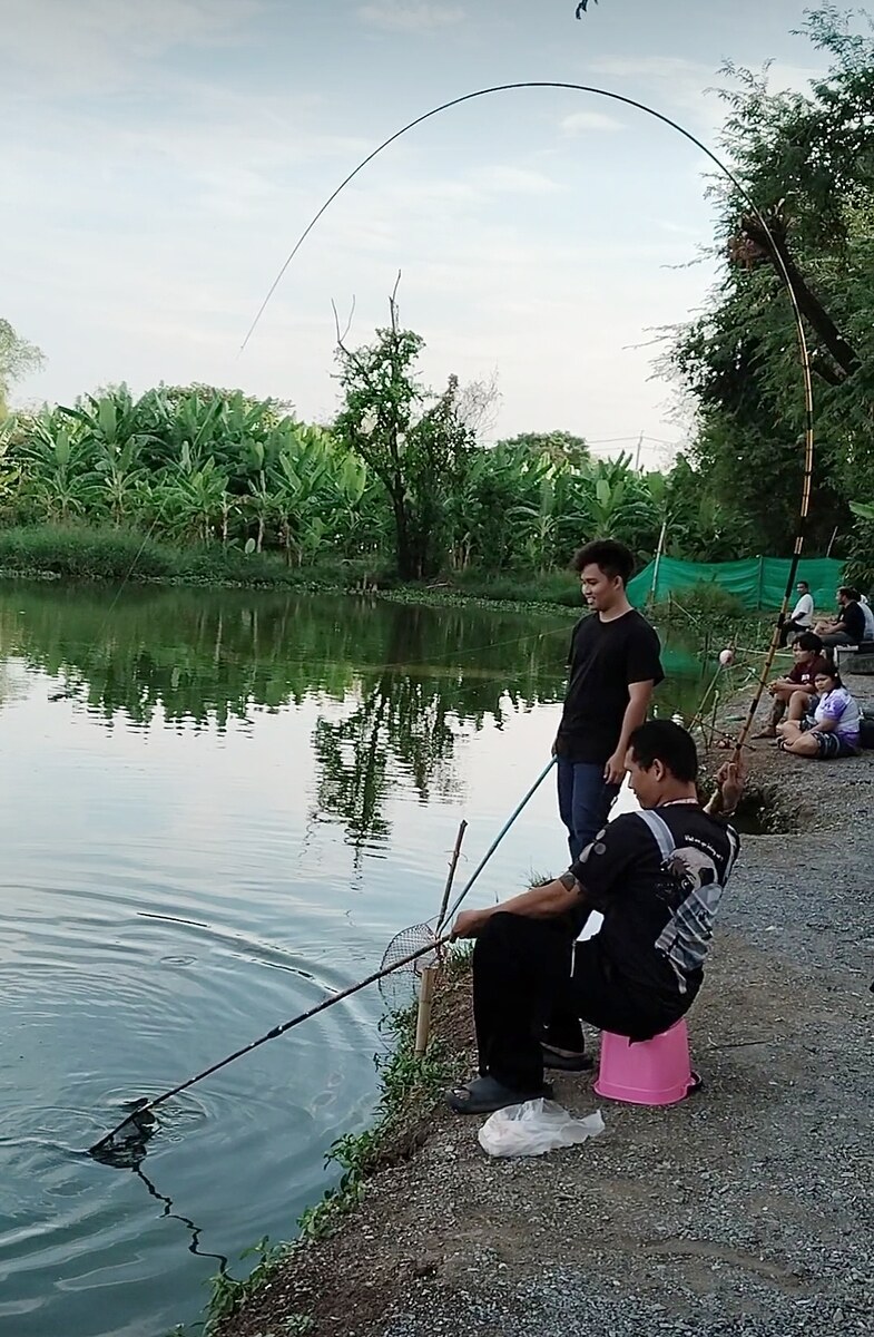 ให้หลานเทสตกเองช้อนเอง งัดได้เลยไม่ต้องเสียดายคันหัก ปลาปุ่งปุ้ย2โล+