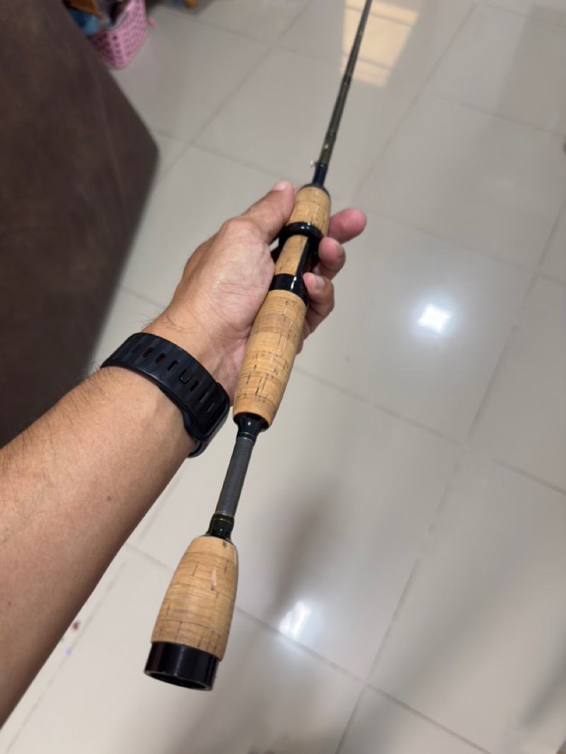 +++ Fenwick Techna GP +++