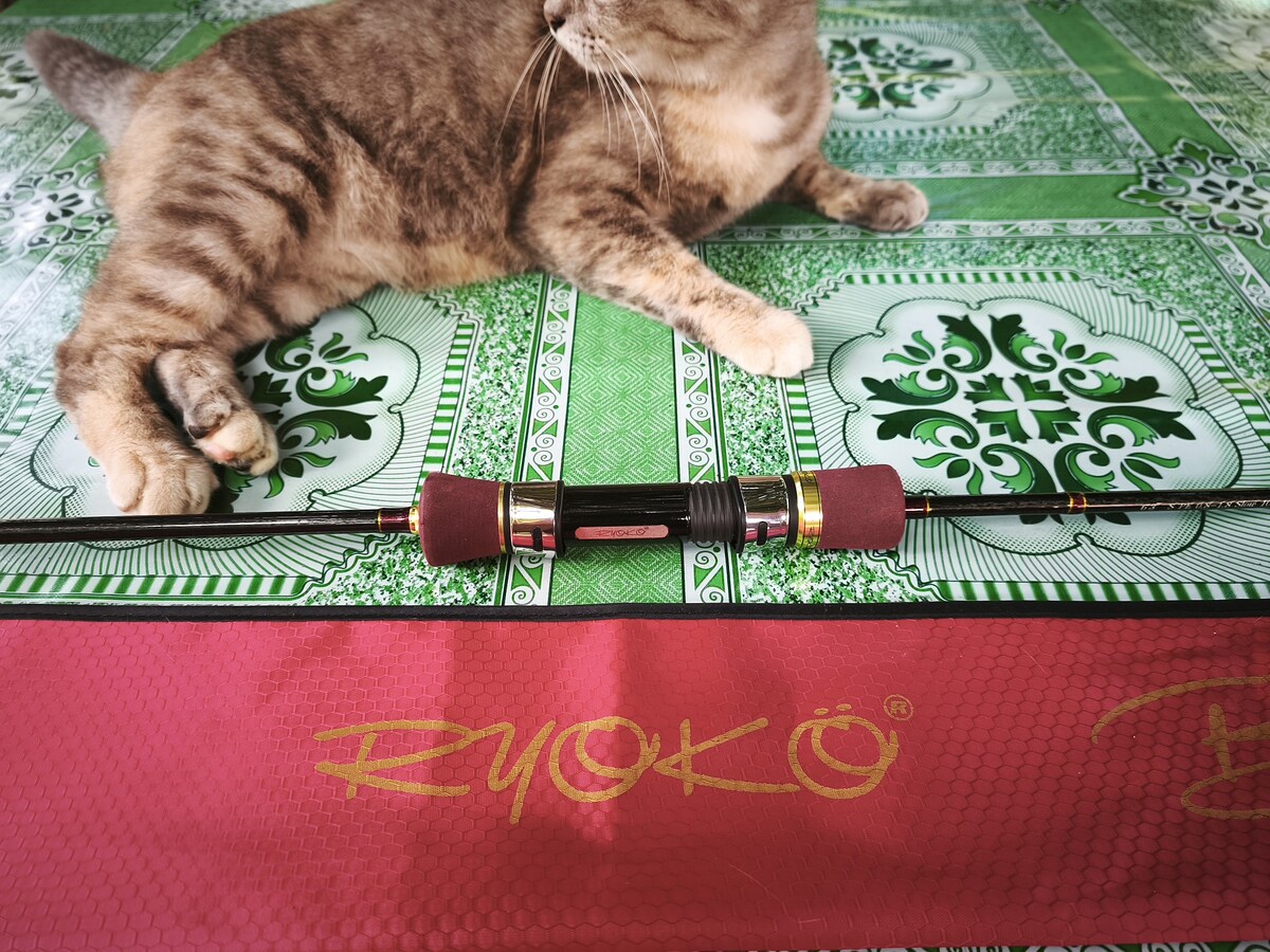 คัน ryoko bodby brown  0.8-1.8  //////////////////   ลดราคา