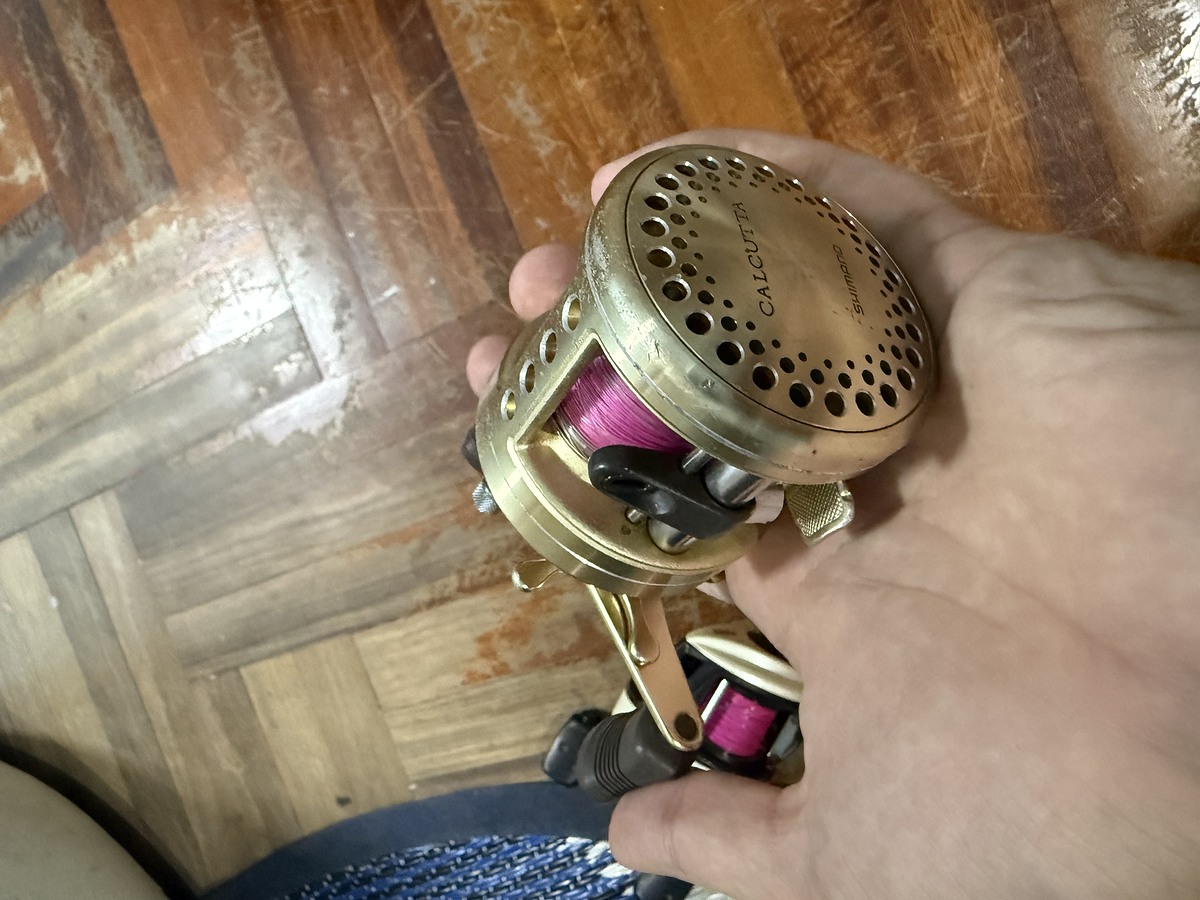 Shimano Calcutta 200XT