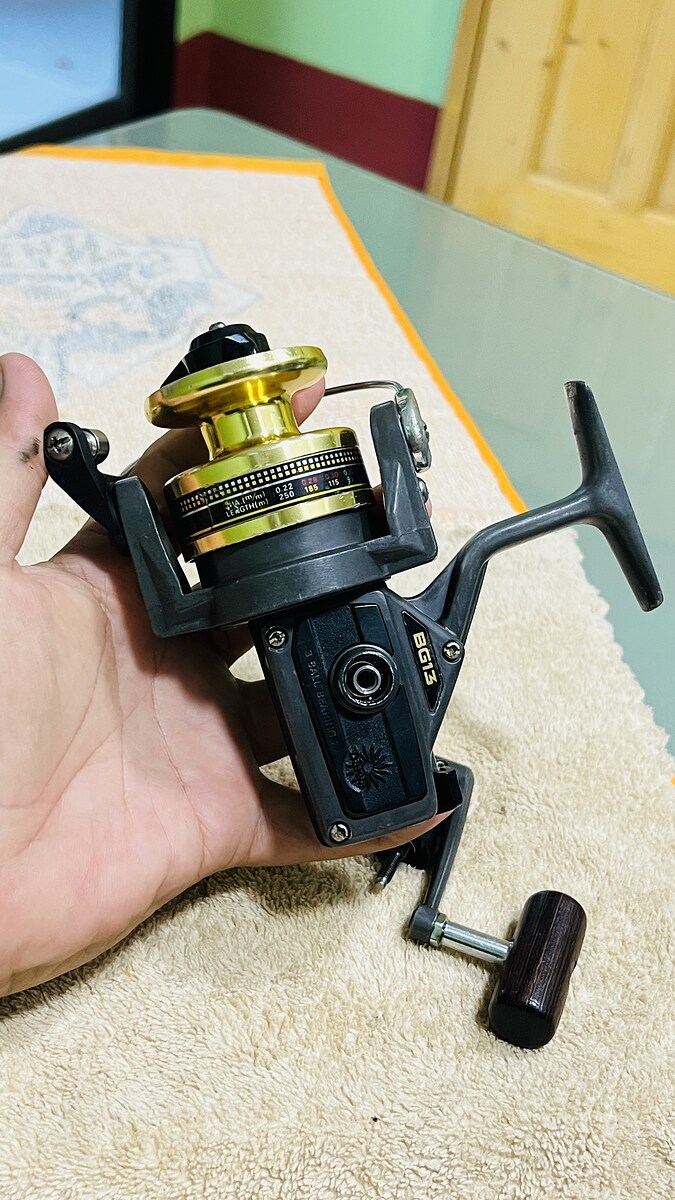 DAIWA BG13 Japan 