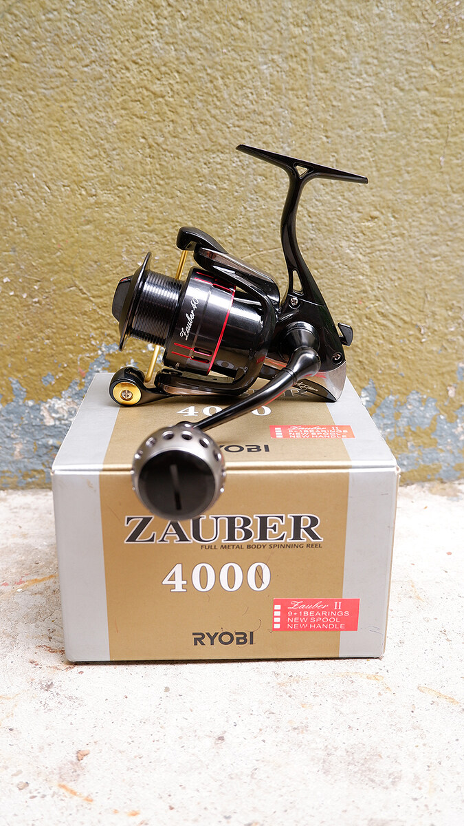 RYOBI Zauber ll Limited 4000